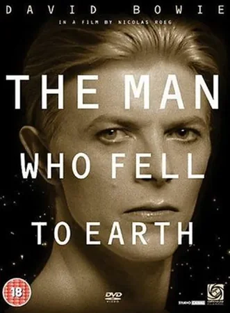 Der Mann, der vom Himmel fiel