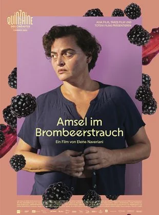 Amsel im Brombeerstrauch