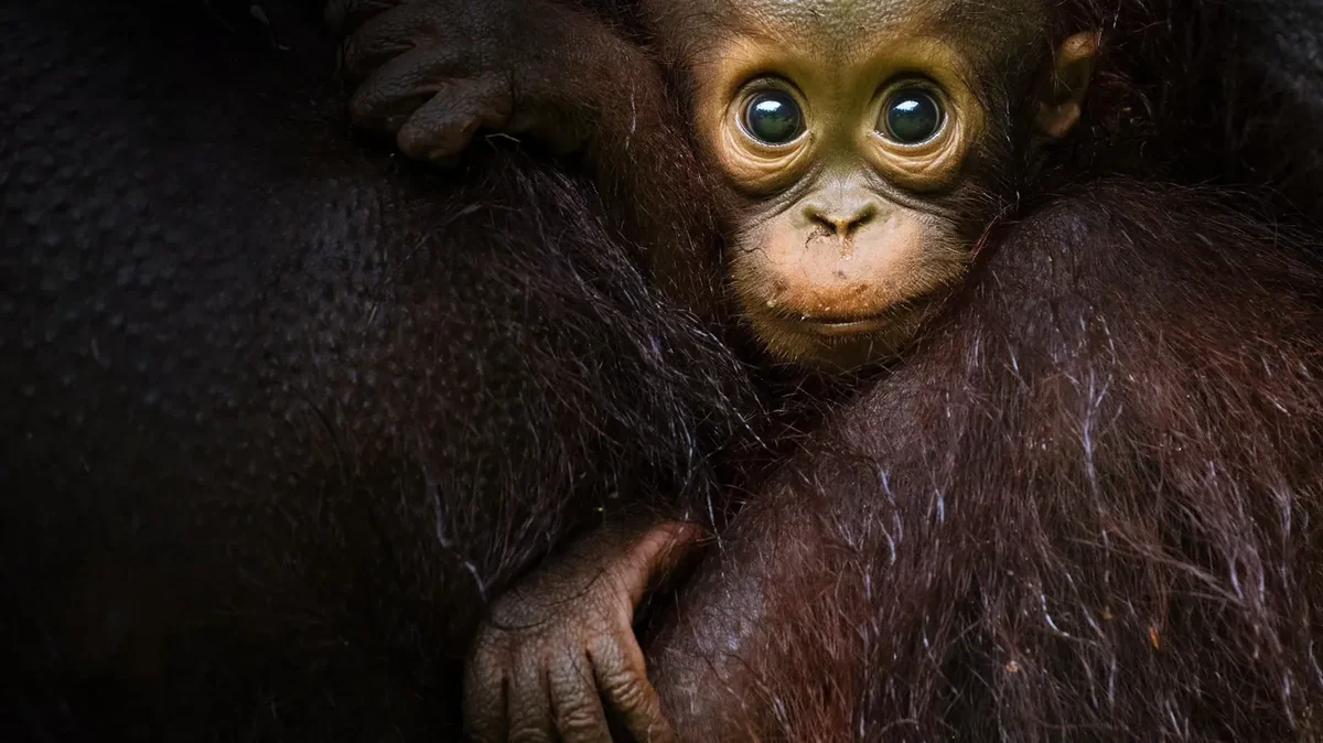 Eden auf Erden – Die letzten Paradiese