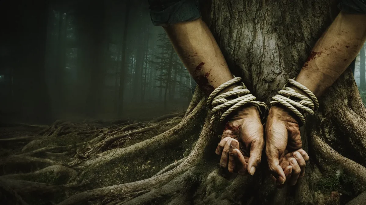 Bark – Nichts bleibt verborgen