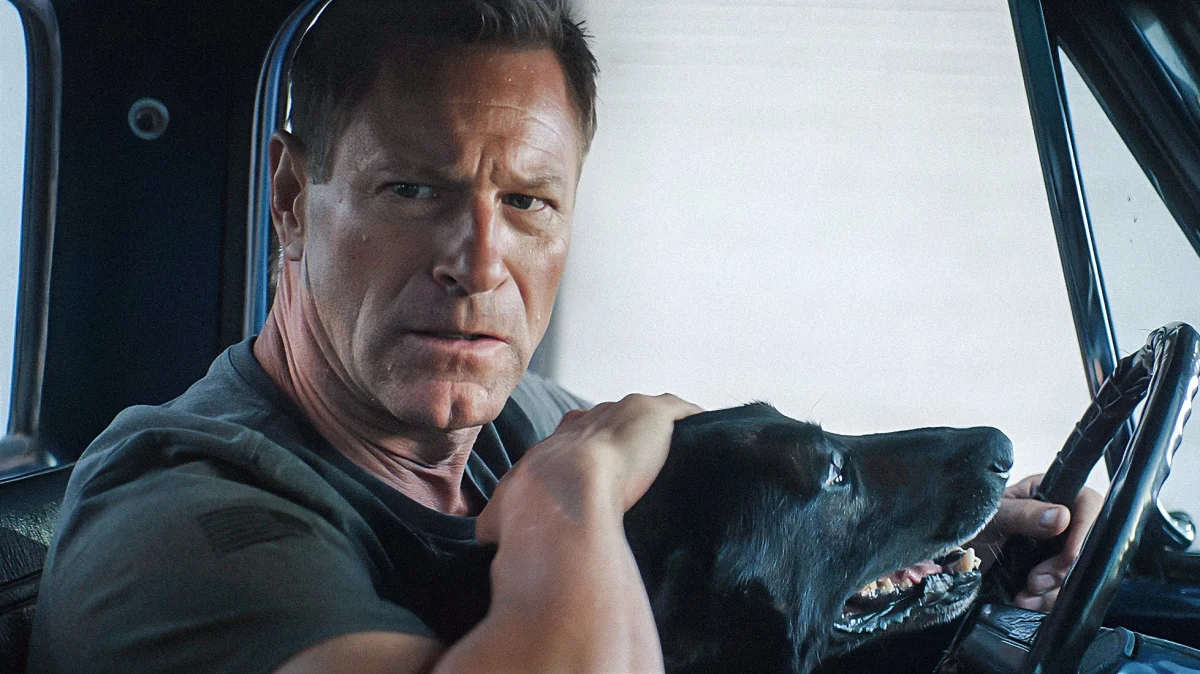 Muzzle: City of Wolves